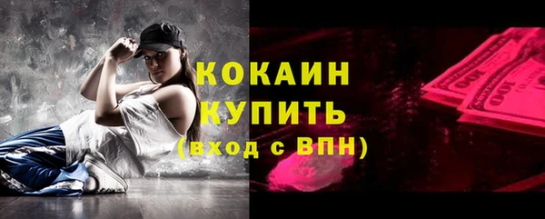 тгк Абаза