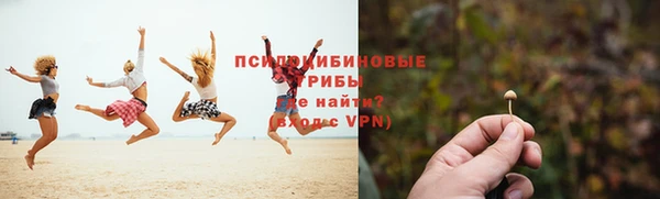 ешки Алексеевка