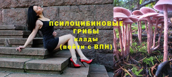 прущая мука Алексин