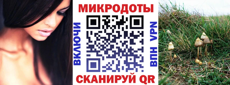 Галлюциногенные грибы Psilocybine cubensis  магазин продажи   ОМГ ОМГ маркетплейс  Елизово 