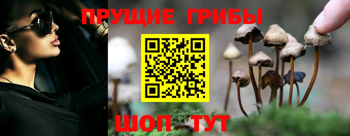 Галлюциногенные грибы прущие грибы  Вход с VPN  Елизово 