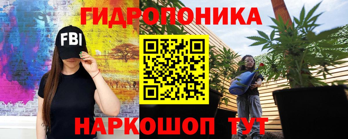 Канабис план  Вход с VPN  Шишки марихуана VHQ  Канабис SATIVA & INDICA  Елизово 